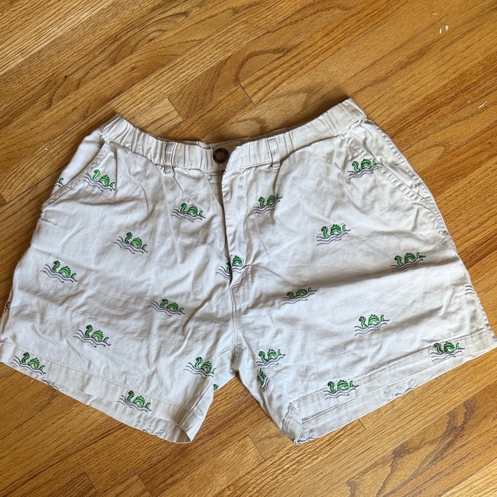 Chubbies Men’s Loch Ness (Nessie) 5 1/2 inseam shorts. Worn once.